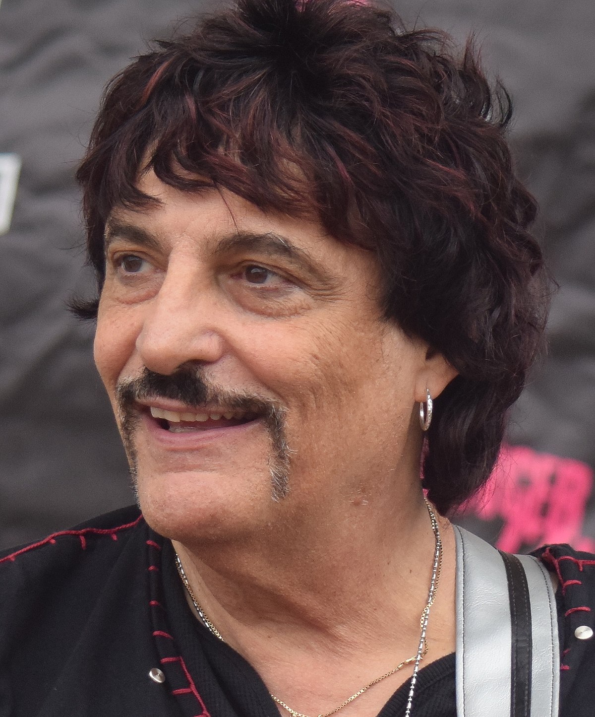 Carmine Appice (Rod Stewart‘s band)